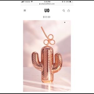 {Urban Outfitters} cactus cup with swirly straw